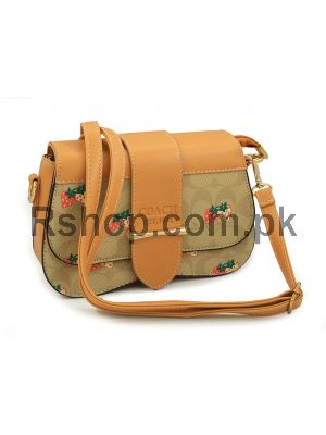 Coach Designer Handbag ( High Quality )